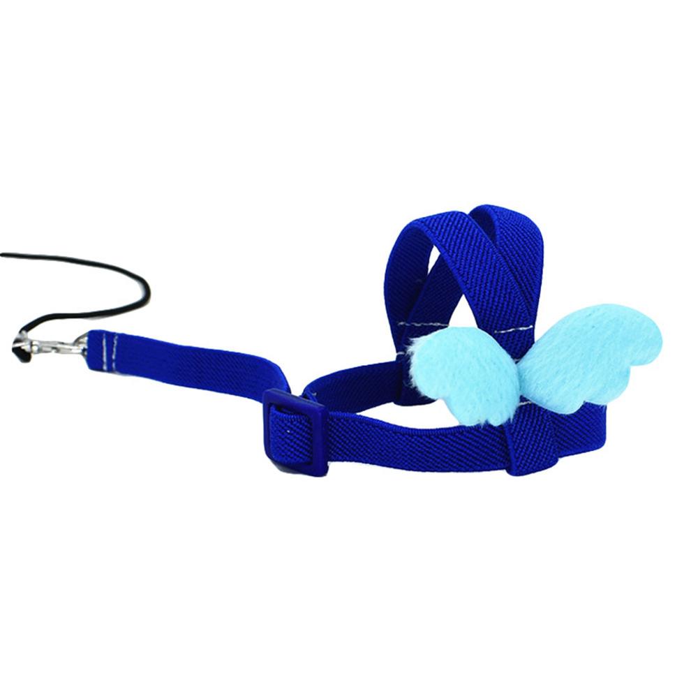 Haustier Papagei Vogel Geschirr und Leine Fliegen Outdoor Training Traktionsseil Gurte für Wellensittich Nymphensittich Kleine Vögel