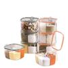 Multi-Grid Transparent Seasoning Jar - Kitchen Spice Box for Salt, Pepper, MSG & More