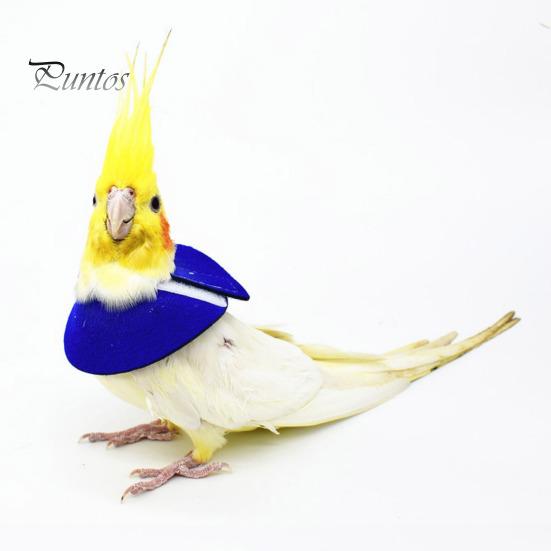 Adjustable Parrot Recovery Collar Anti-Biting Injury Protection Fastener Tape Fixing Bird Collar Pet Bird