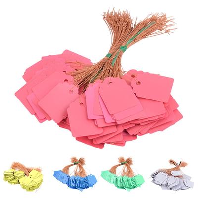 Waterproof Plastic Tags for Plant Identification 100PCS Colorful Labels