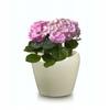 Ceramic flower pot 125 cm cream
