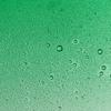 Car Sun Front Film Accessories Front Windshield Parts PV