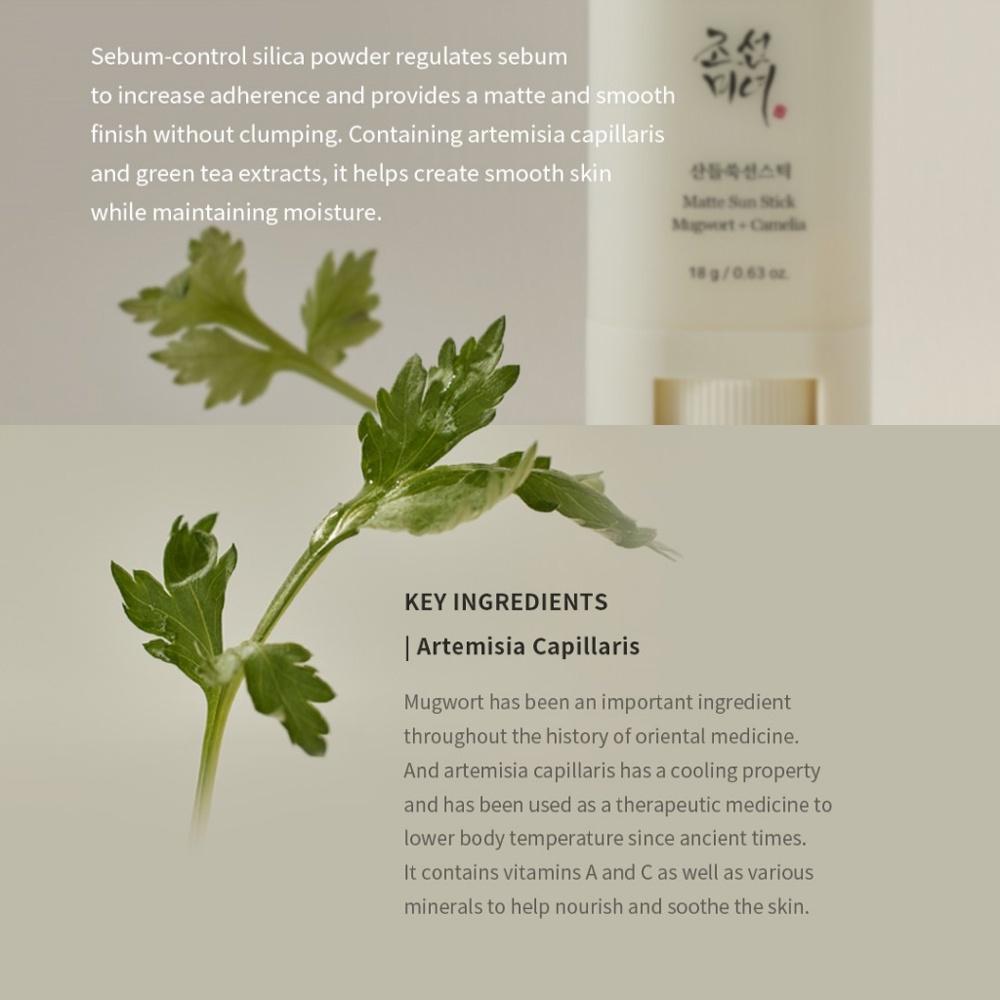 Beauty of Joseon Mattierender Sonnenstift SPF 50+ PA++++ 18g