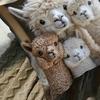 Federa per cuscino con motivo alpaca, stampa vivace di animali, copricuscino di taglia universale con cerniera nascosta, decorazione per la casa