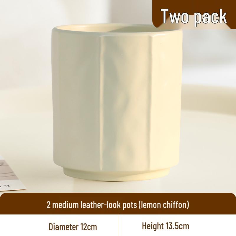 Nordic Style Cream Ceramic Succulent Pot for Phalaenopsis and Green Plants