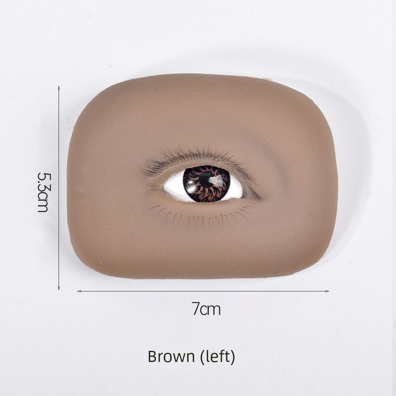 Eyelash Practice Module, a Specialized Simulation Practice Tool for Beginner Eyelash Technicians, Including Eyelash and Eyebrow Tattoo Practice Film