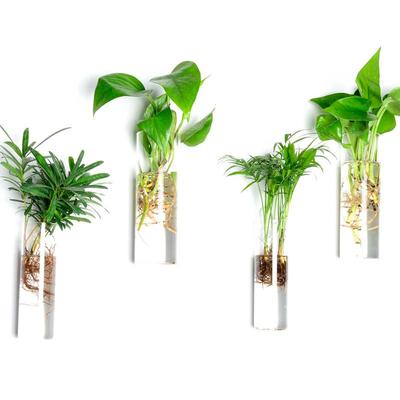 Vase mural en verre hydroponique soufflé à la main pour compositions florales