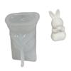Rabbit Resin Molds for DIY Candle Rabbit Shape Molds