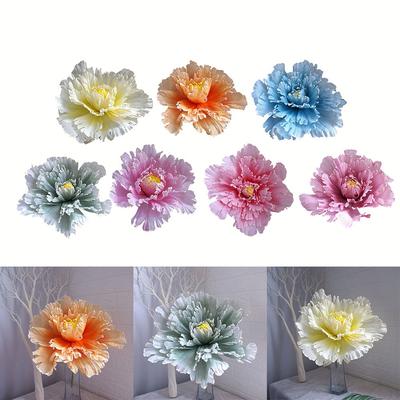 Peony Flower Flower Head Diameter Space Green Stem Website