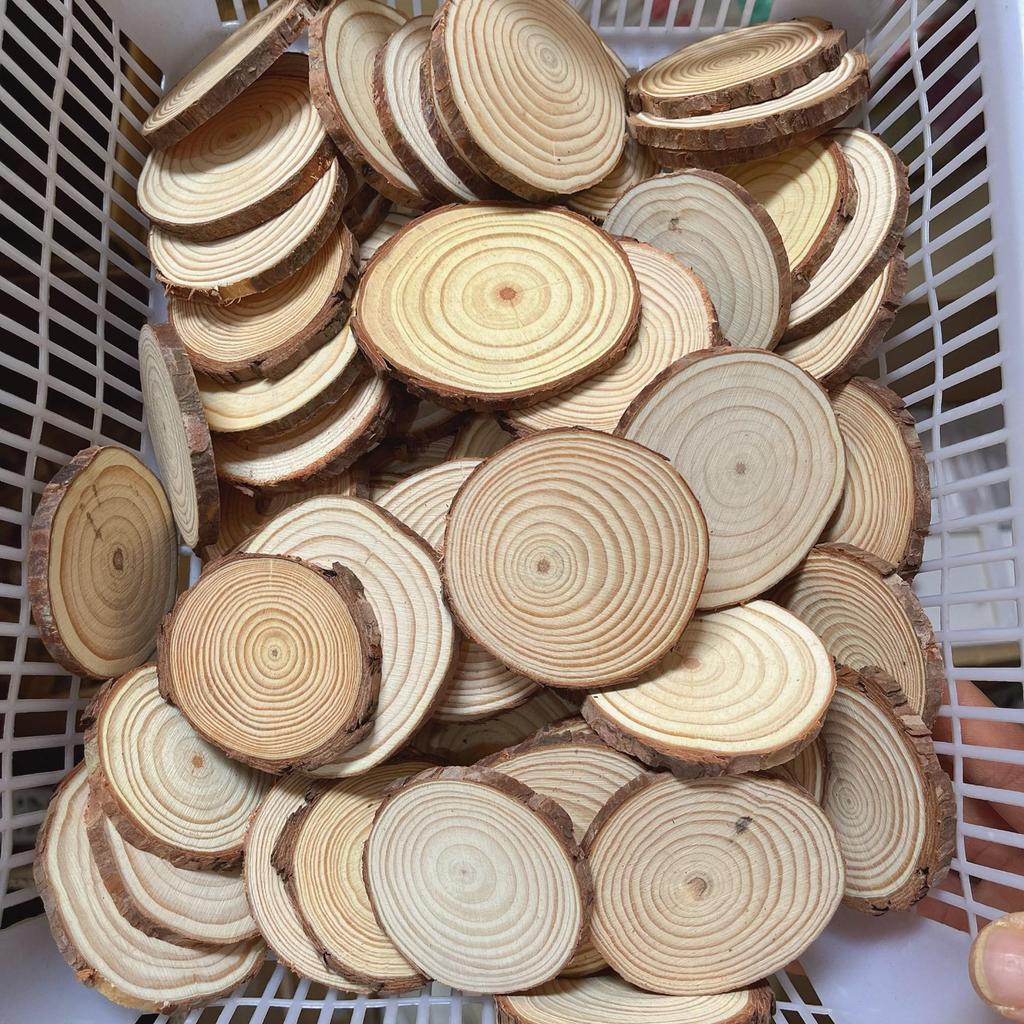 DIY Hand-Painted Wooden Slices for Crafts and Kindergarten Decor – Small Natural Wood Pieces with Growth Rings
