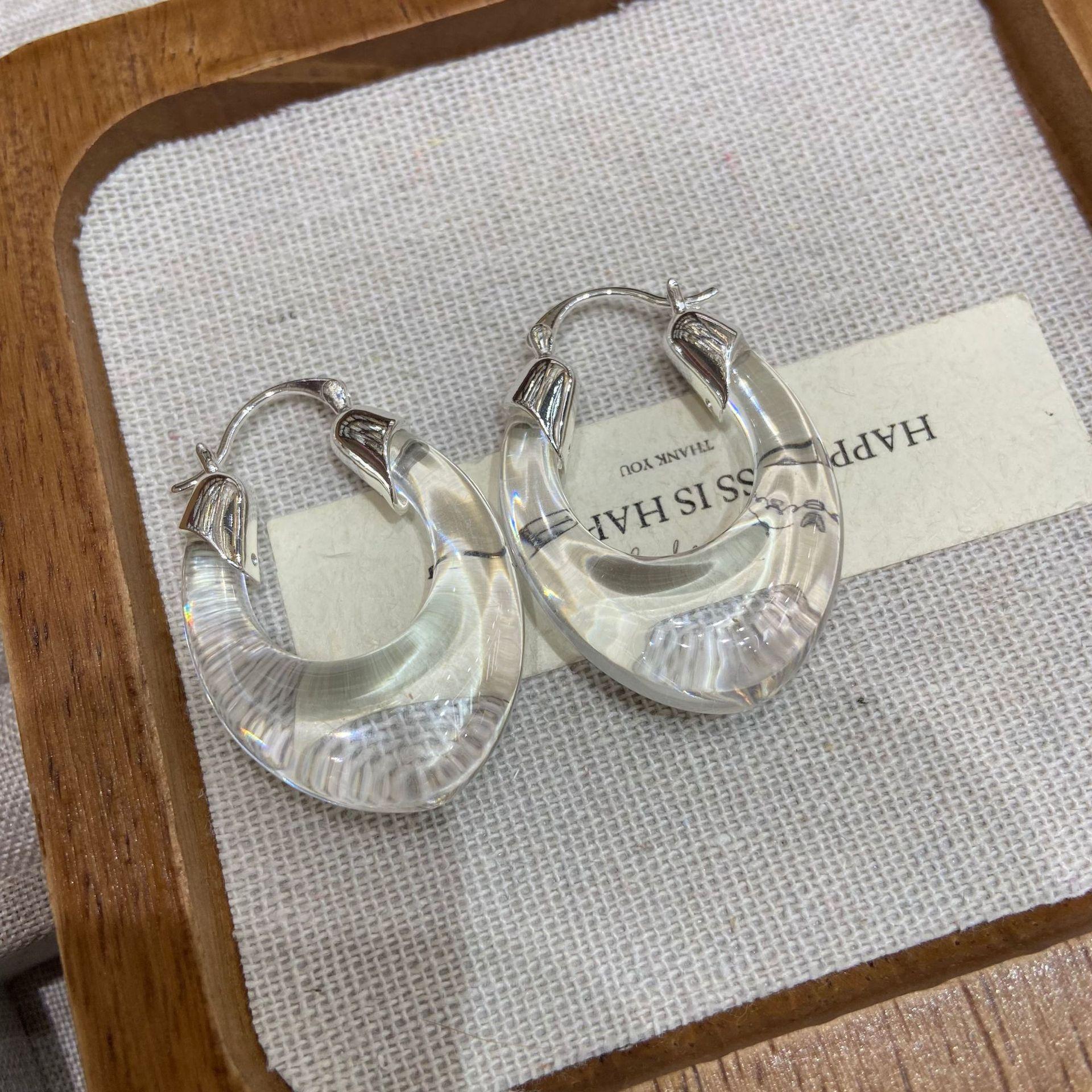 Light Luxury Transparent Metal Earrings Women S Niche Design High-End Fashion Retro Tortoiseshell Earrings