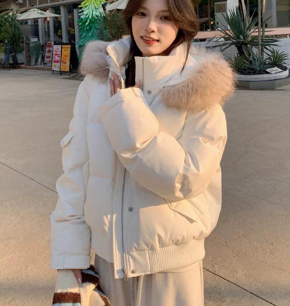 Winter new women's fashion big fur collar down cotton clothes foreign look thin warm cotton coat