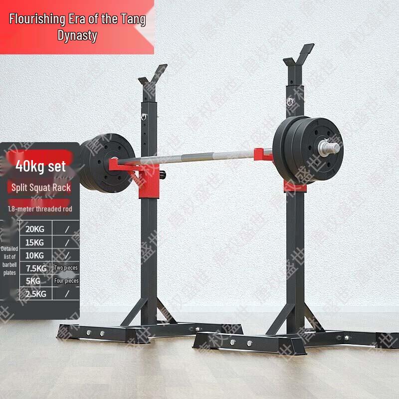 Multi-functional Barbell Squat Rack & Training System