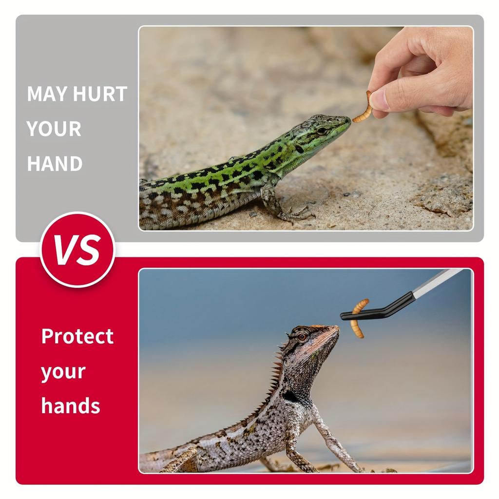 2PCS Stainless Steel Reptile Feeding Tongs with Rubber Tip, 10.6” Flat & Curved Long Tweezers for Aquarium or Craft, Bearded Dra