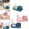 Cat Bowls Automatic Pets Feeder Food Dispenser