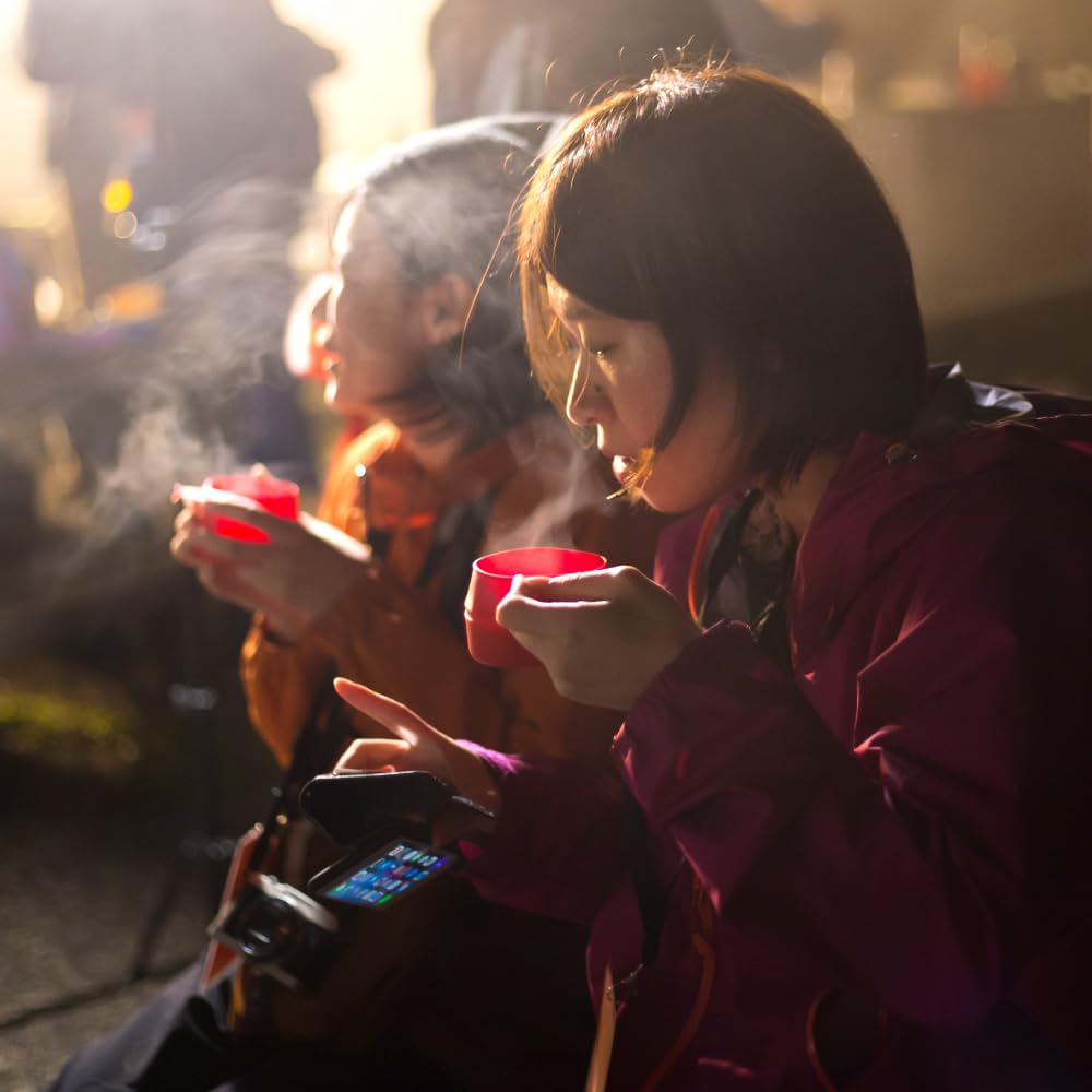 Wildo Folder Cup Dishwasher and Microwave 250ml Capacity Perfect for Outdoor Activities like and BBQs Lightweight, Compact, Foldable, Stackable,