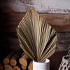 Wedding Decor Office Tropical Natural Trimmed Boho Fan Leaf Dried Plant Leaves Palm Spears