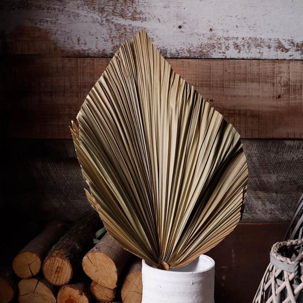 Wedding Decor Office Tropical Natural Trimmed Boho Fan Leaf Dried Plant Leaves Palm Spears