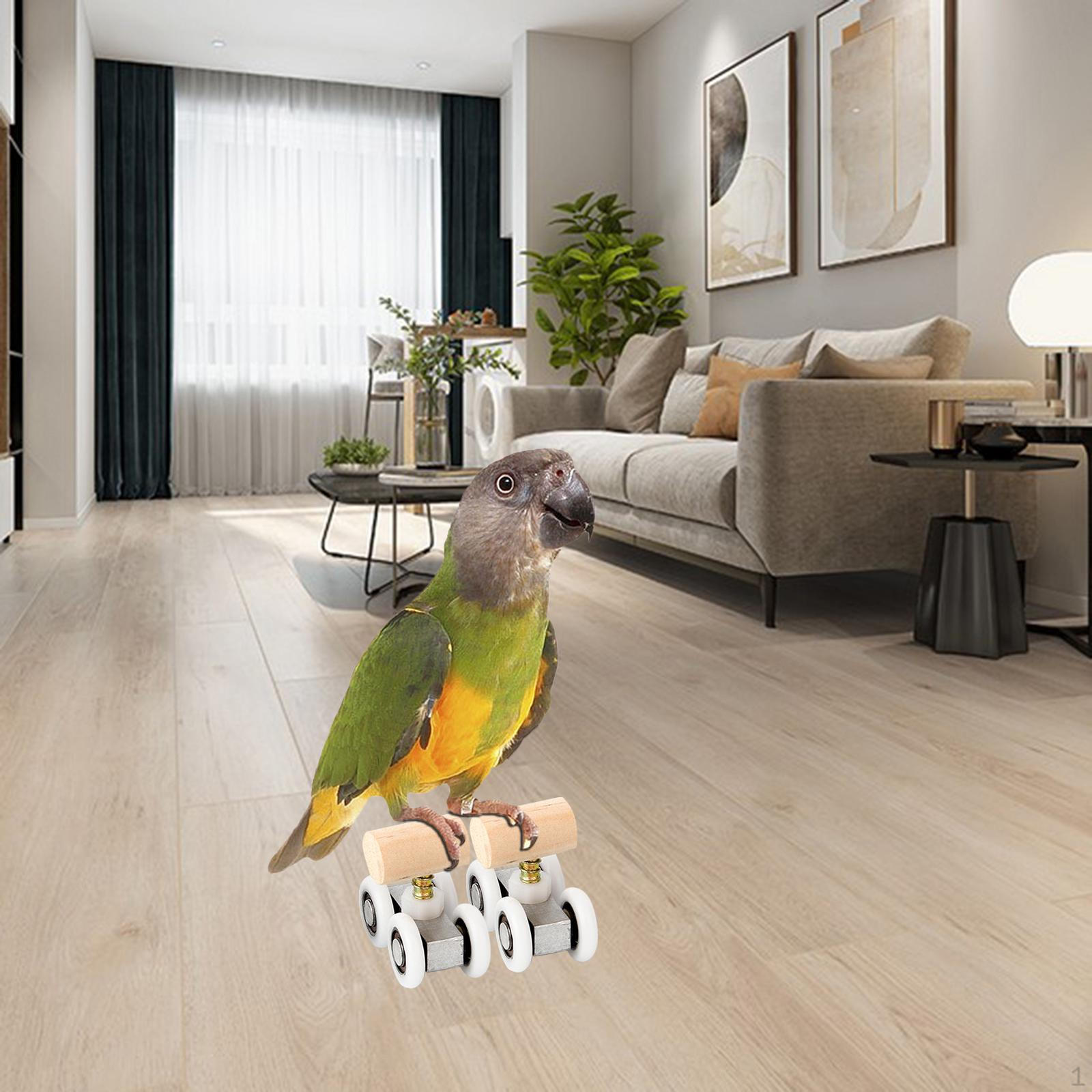 Набор обогащающих игрушек для попугаев и птиц - Развитие когнитивных способностей 2.1x4.2cm