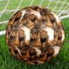 1pc Lion Wild Theme Soccer Ball Football, Size 5, Lightweight PVC, Outdoor Training Soccer Ball,Gift C657