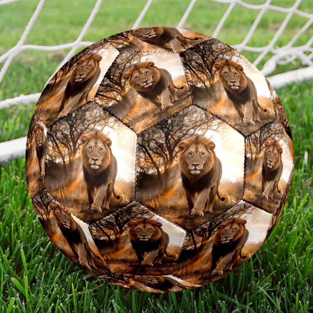 1pc Lion Wild Theme Soccer Ball Football, Size 5, Lightweight PVC, Outdoor Training Soccer Ball,Gift C657
