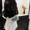 Summer Popular New Niche Design Single Shoulder Messenger Bag Versatile Casual Trend Crescent Bag Women