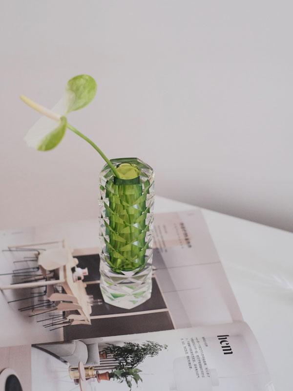 Modern High Quality Small Glass Flower Vases Colored Acrylic Floor Vase for Home Decoration Wedding and Gifts