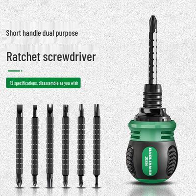 Multifunctionele Ratelschroevendraaierset met Dubbele Kop en Torx-, Kruiskop- en Platte Bits