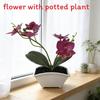 Butterfly Orchid Fake Plant With Plastic And Soft Rubber For Home Decor And Photography Scene Setup