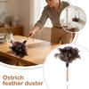 1-3PCS Home Wooden Handle Feather Duster Ostrich Feather Duster Anti-static Dust Removal Feather Fur Brush Duster Home Cleaning