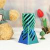3D Printed Spiral Fidget Toys 11CM Decompression Spinning Three-Dimensional Structure Fingertip Dual Color Stress Relief Toy