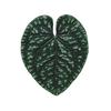 Simulated Leaf Refrigerator Decoration Acrylic Epoxy Tropical Magnet Mobile Phone Airbag