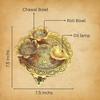 Wonder Care Aluminium Golden Color Plate for Puja Diwali Gift Items Deepawali