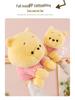 Classic Winnie the Pooh Plush Sleep Hug Doll - Children's Birthday Gift