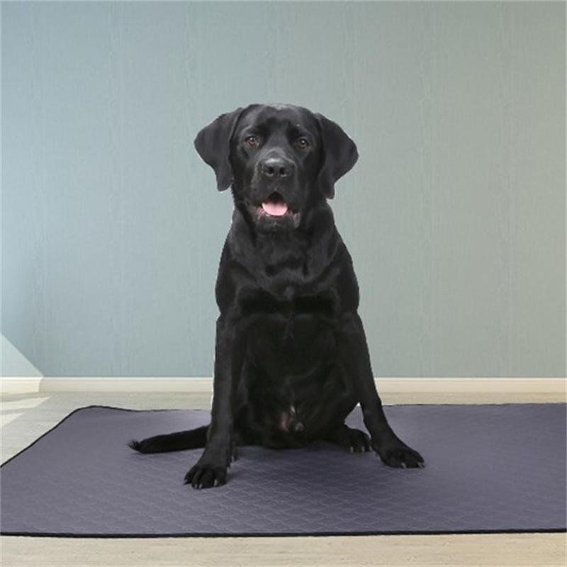 Wiederverwendbare Haustier-Pipi-Unterlage Maschinenwaschbar Rutschfest & Saugfähig Töpfchentrainingsmatte