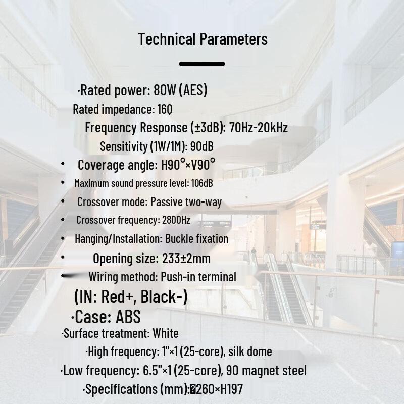 TAKSTAR EBS-640 Ceiling Speaker CN plug (adapter included)