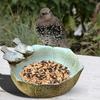 Ceramic Bird Feeder 16*16*7.5CM 1 Piece Bird Drinking Water Feeding Tray Suitable for Parrot Rosy Phoenix Peony Parrot