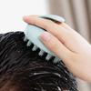 Japanese TPE Scalp Massager & Anti-Dandruff Shampoo Brush