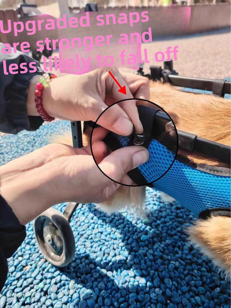 Pet Scooter Wheelchair for Disabled Dogs and Cats with Hind Leg Paralysis, Suitable for All Sizes