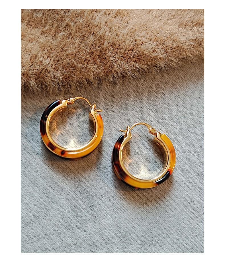 Silver Needle Retro Resin Geometric Round Oval Pendant Earrings Maillard Style Stud Earrings Niche Design Earrings Women