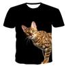 New summer 3D printing cute cat short-sleeved casual street sports breathable T-shirt