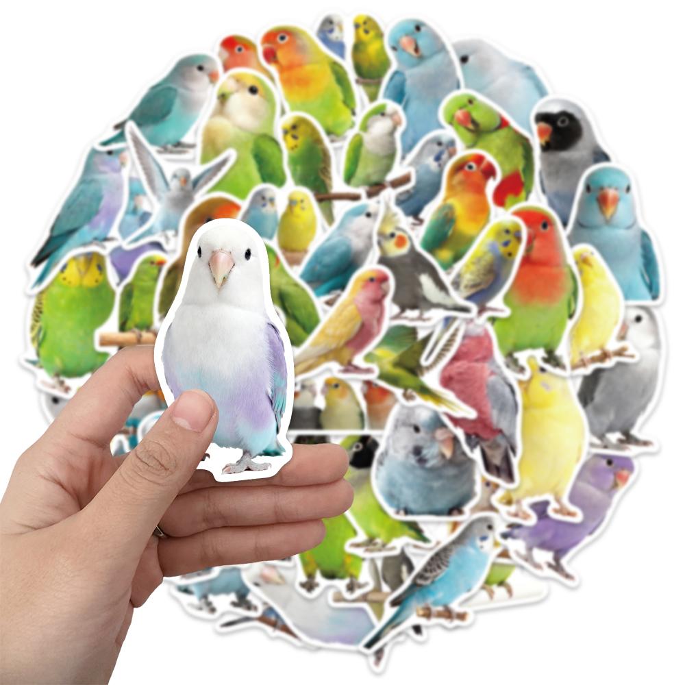 50PCS Cute Parrot Decorative Stickers DIY Phone Cases, Laptops, Water Bottles, Computers, Skateboarding Stickers