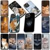 Soft Cover for Samsung Galaxy S25 S24 S23 FE Plus Ultra S7 Edge A16 A15 5G S25+ Coque Phone Case Meow Eyes Kitten Cat