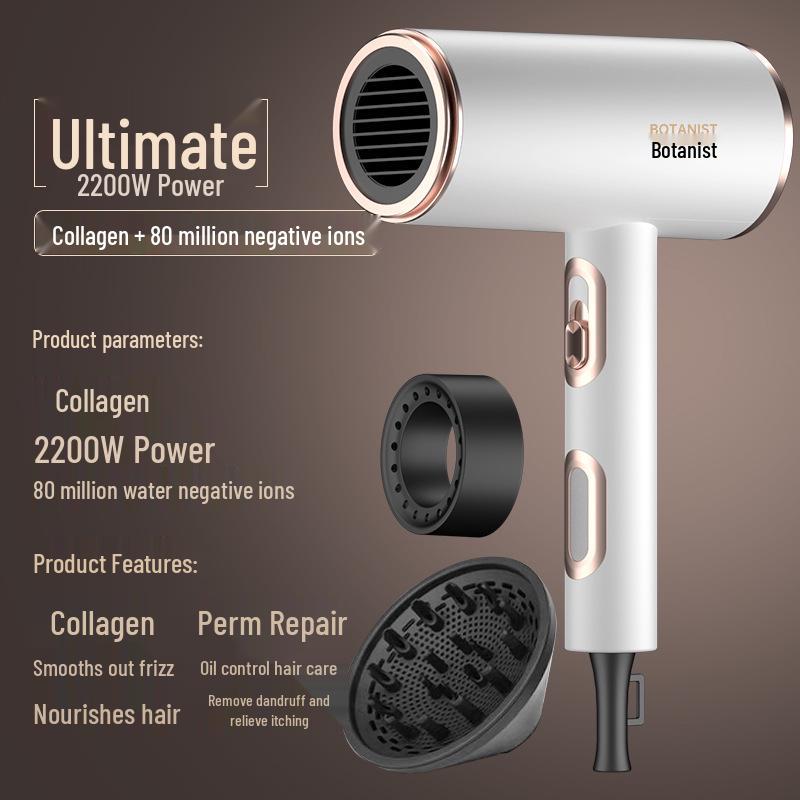 High-Power Quiet Wireless Hair Dryer with Large Airflow and Negative Ion Technology - Germany