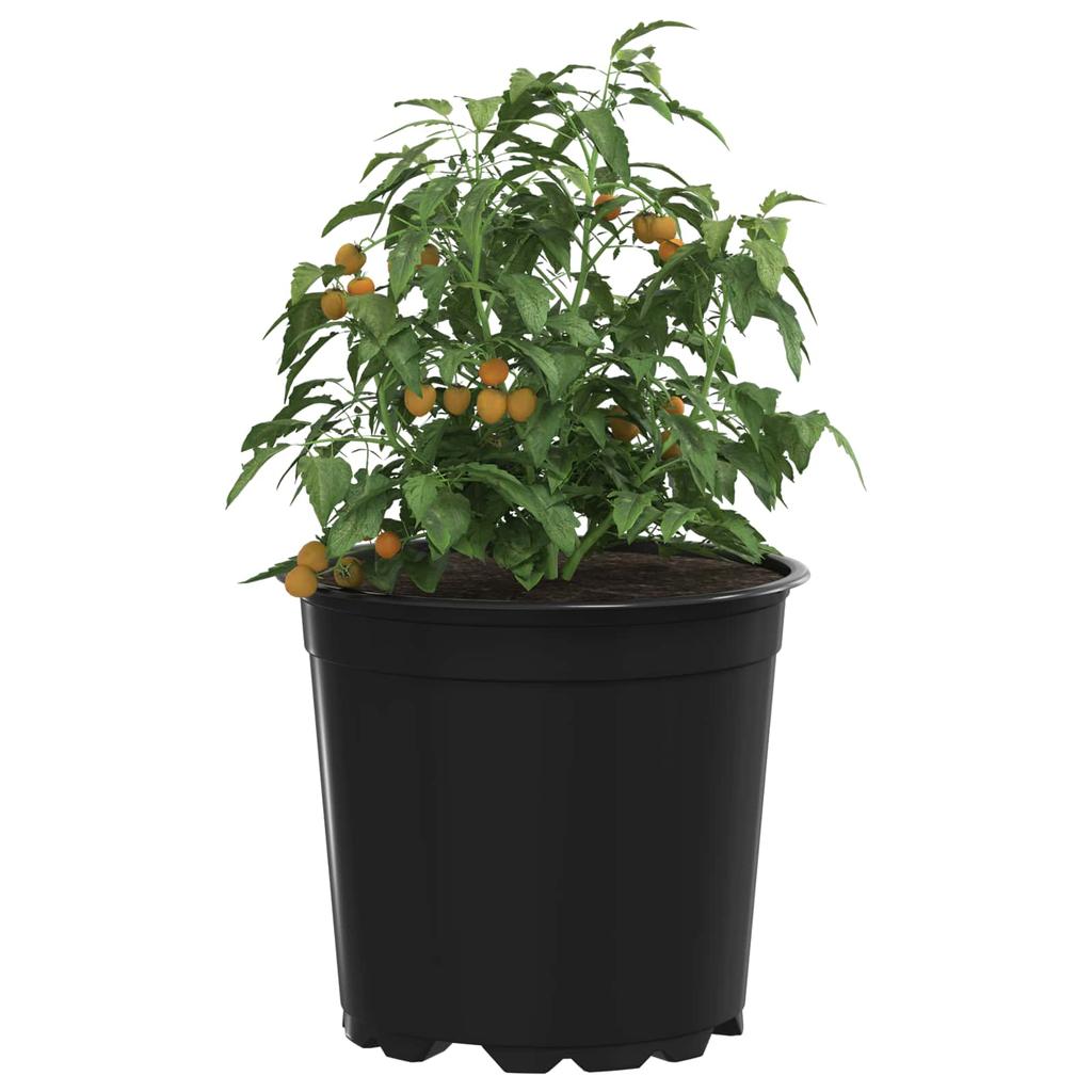 Flower Pot 50 Pcs Black Ø 15 X 13 Cm Plastic