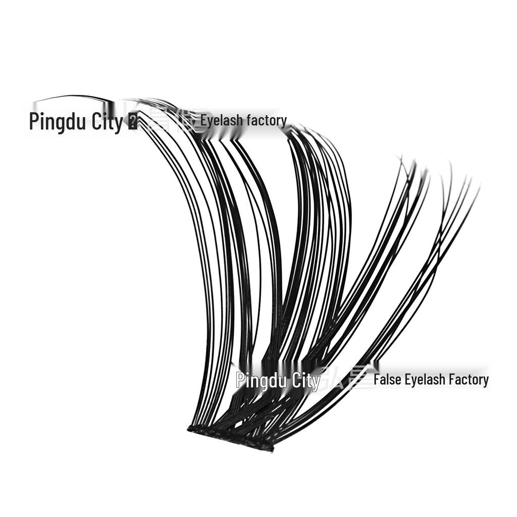 D Curl Cluster Lashes Book: 20D/30D/60D/80D Large Capacity False Eyelashes