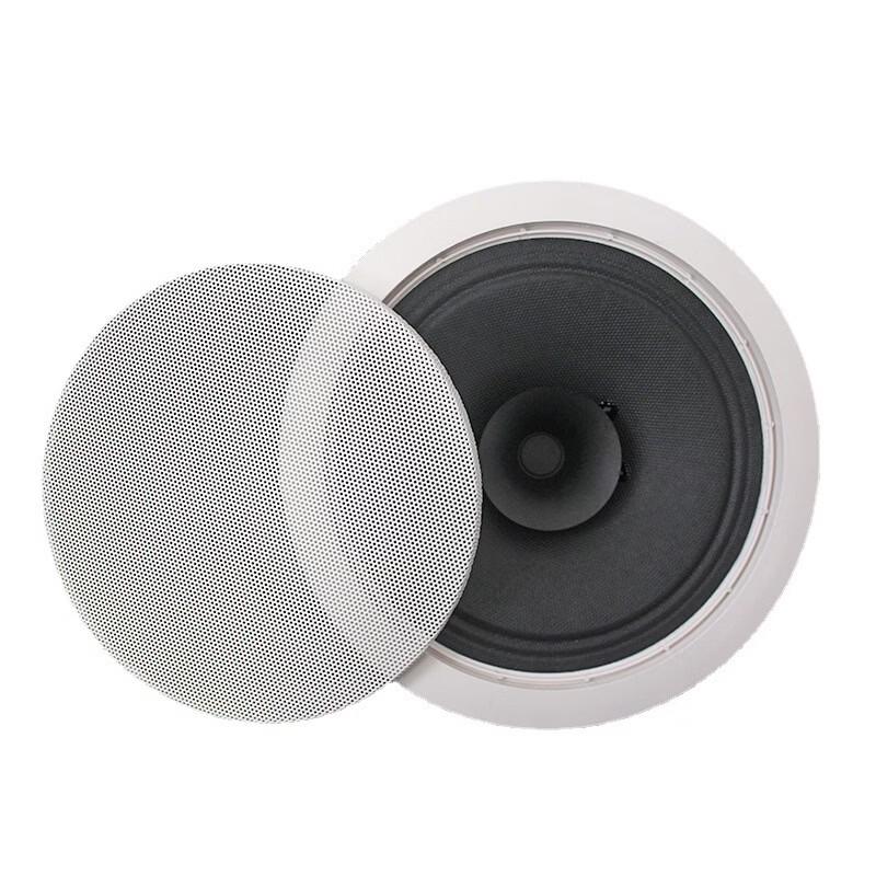 Brangdy Full-Range Ceiling PA Speaker