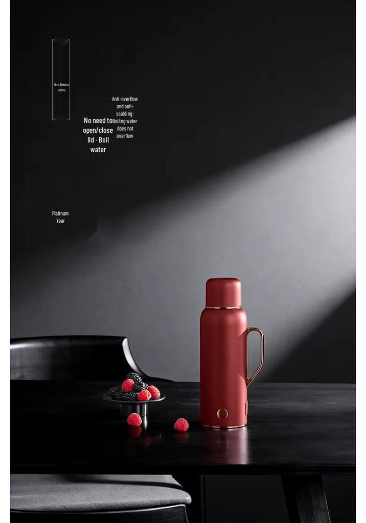 Platinum Portable Travel Electric Kettle: Boil Water On-the-Go