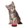 2-piece Training Bells For Pets Potty Training With Paw Pattern - RiRi