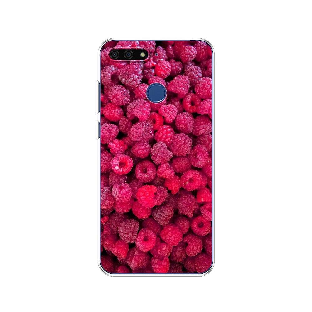 Pro Huawei Honor 7C 5,7 palcový kryt pouzdra Měkký silikonový TPU Roztomilý kryt Zadní ochranné pouzdro na telefon Pro Huawei honor 7c Aum-L41 tašky